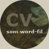 CV som word-fil